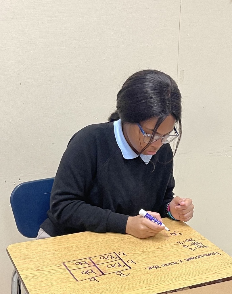 A different student wearing glasses also draws a Punnett square on her desk.