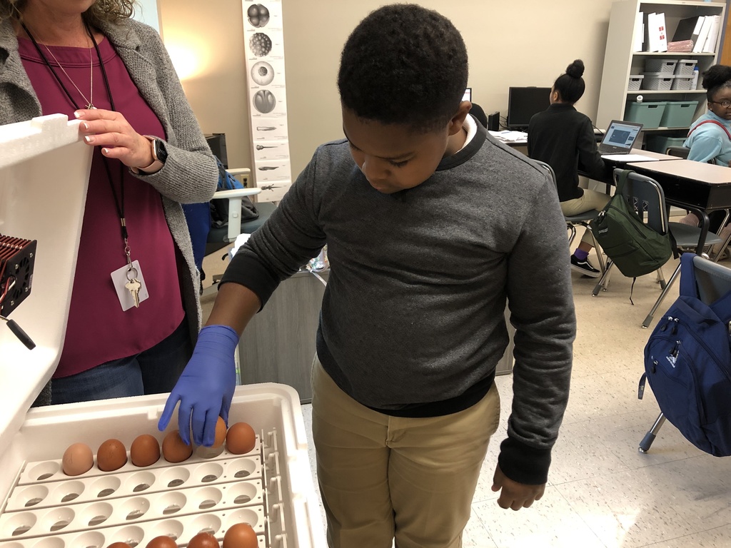A student wearing a glove places an egg in an incubator.