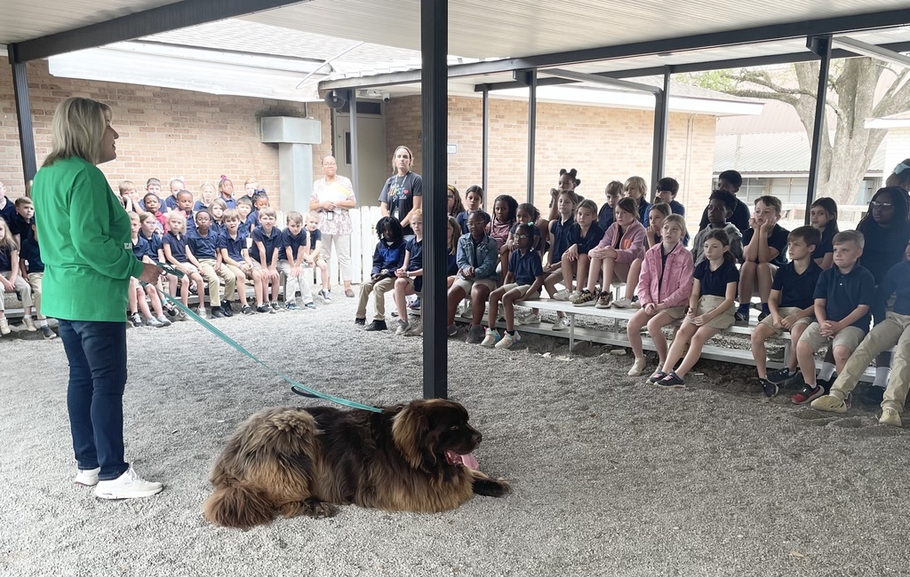 A woman in a green shirt holds the leash of a very big dog that is lying down. An audience of children and adults in bleachers surrounds them.