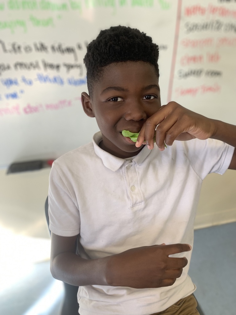 A student eats a piece of lettuce while sitting.