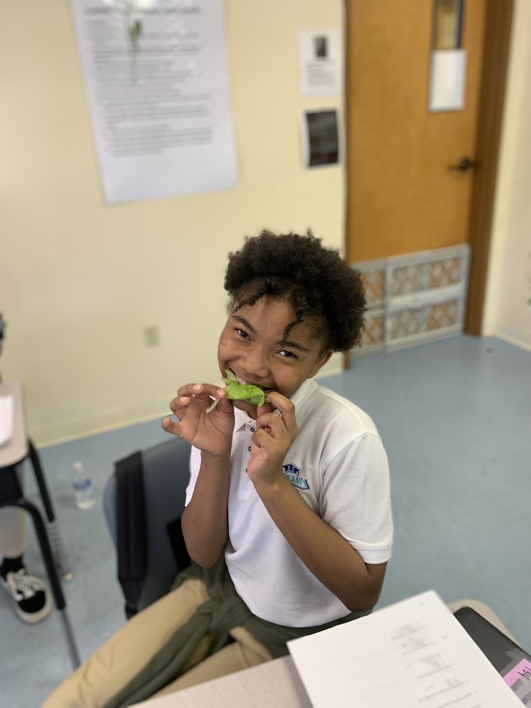 A student eating a piece of lettuce, holding it with two hands.
