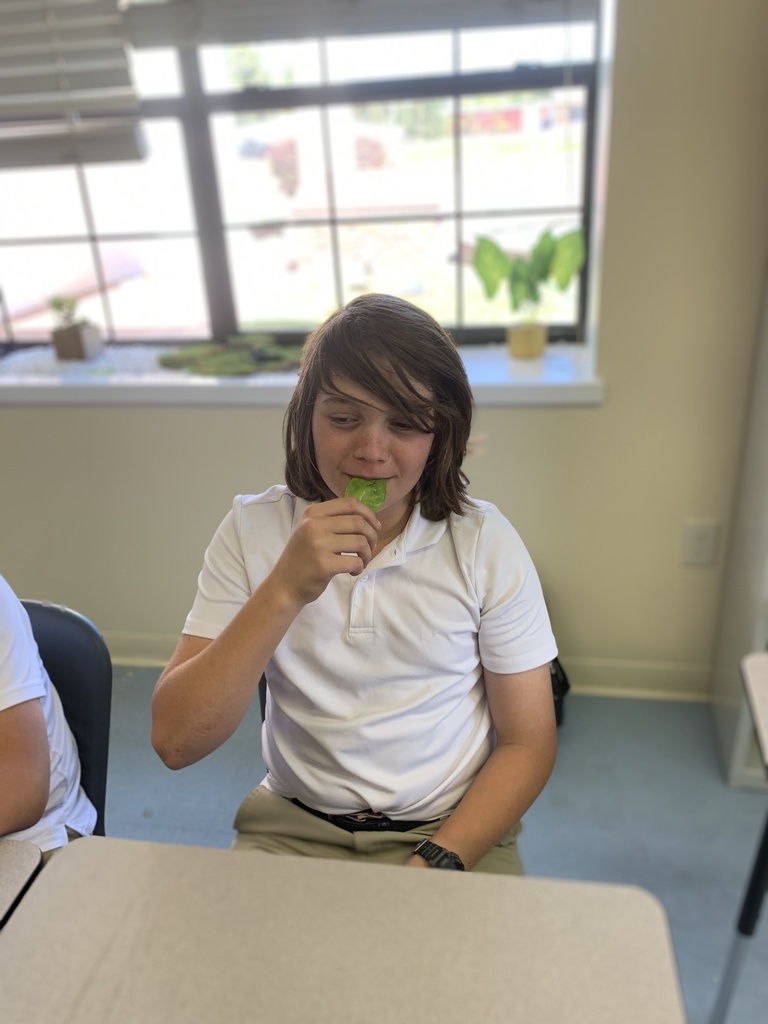A student eats a piece of lettuce